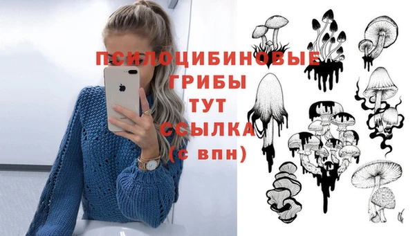 дурь Вязьма