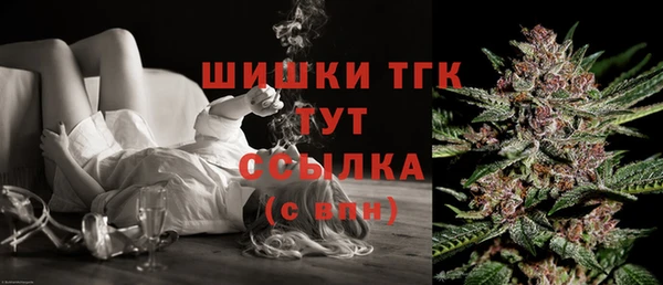 гидра Горнозаводск