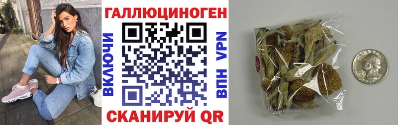 что такое   Щёлково  Псилоцибиновые грибы ЛСД 
